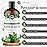 NaturoBliss Peppermint Essential Oil, 100% Pure and Natural Therapeutic Grade, Premium Quality Peppermint Oil, 16 fl. Oz - Perfect for Aromatherapy and Relaxation