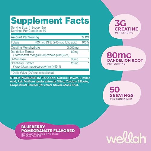 Miniatura 2 de Wellah Creatina para mujer (50 porciones, arándano y granada) - Monohidrato de creatina con diente de león y extracto de arándano