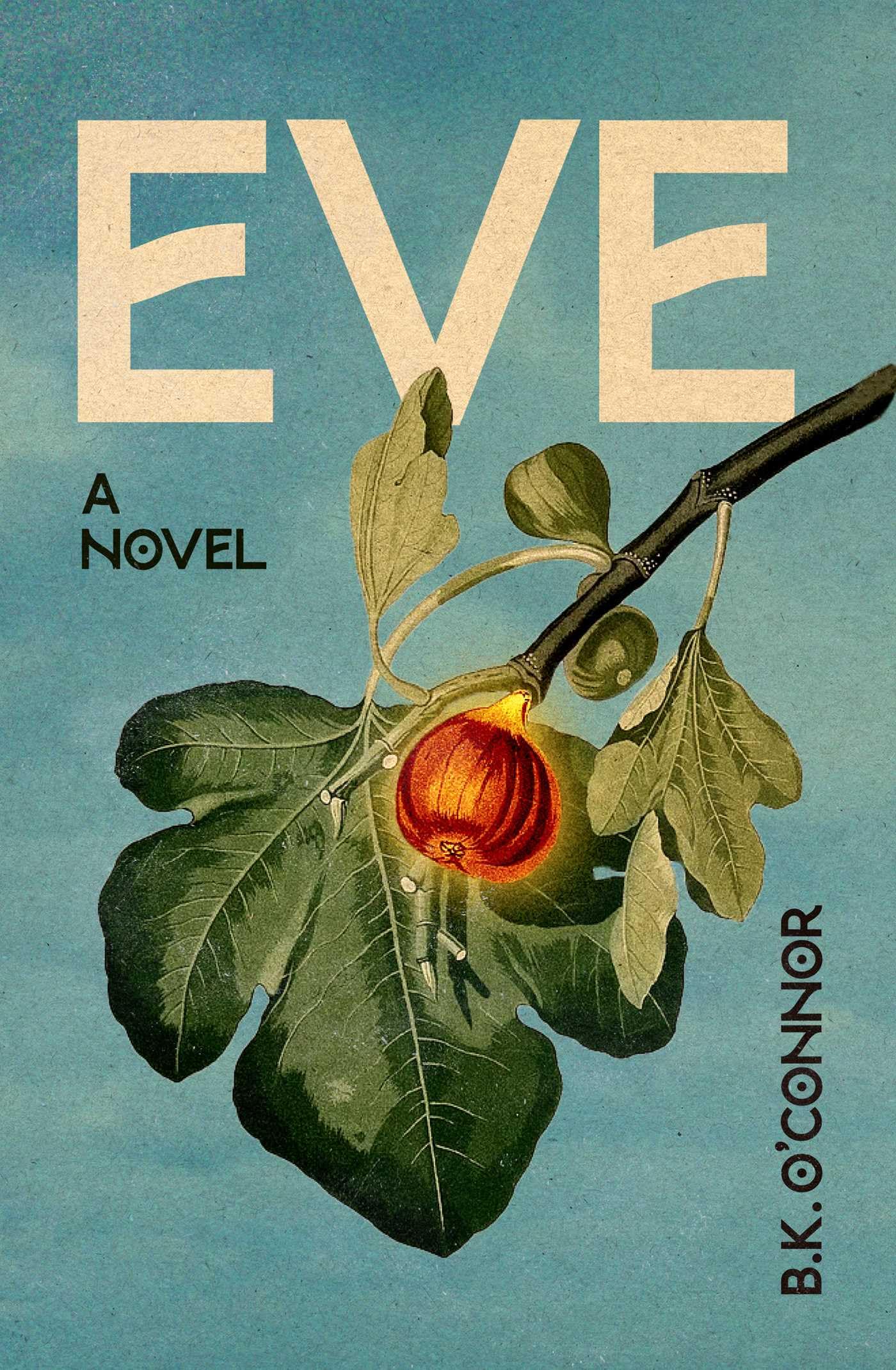 Eve by B K O'Connor PAPERBACK 9781592116690