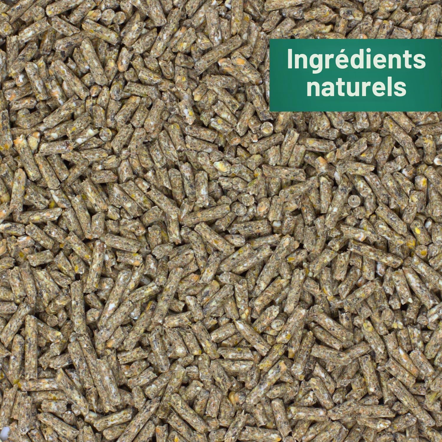 Agrarzone Nourriture pour Lapins en granulés 25 kg - Nourriture pour Lapins, Lapins Nains, lièvres - Nourriture Riche en nutriments pour Petits Animaux - Certifiée AMA, sans OGM