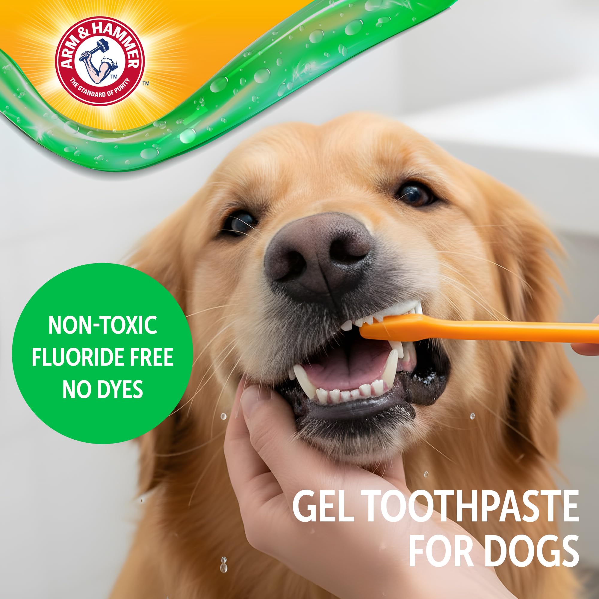 Arm & Hammer Complete Care Dental Gel, Gel-Style Dog Toothpaste - Fresh Breath, Tartar Control, Gentle on Enamel, Fluoride Free - Baking Soda Enhanced Dental Dog Supplies, Chicken Flavor, 2.5oz - image 3
