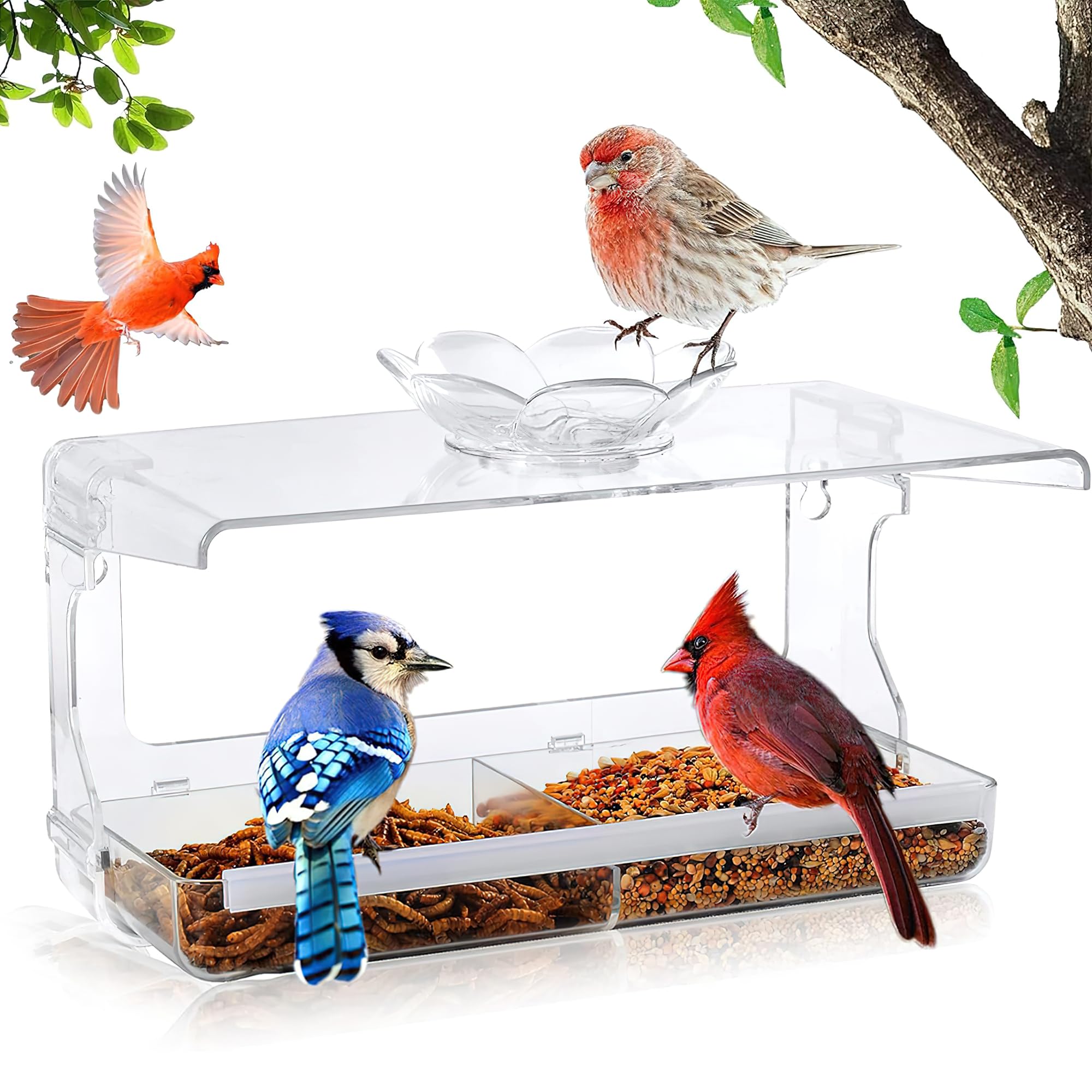 KIDOCA Transparent Hanging Bird Feeder | Window Bird Feeder for Balcony | Ideal for Sparrows, Pigeons, and Hummingbirds | Includes Food and Water Bowl | Pot Decor for Feeding Birds (B0D9F86HWZ) Amazon Price History, Amazon Price Tracker