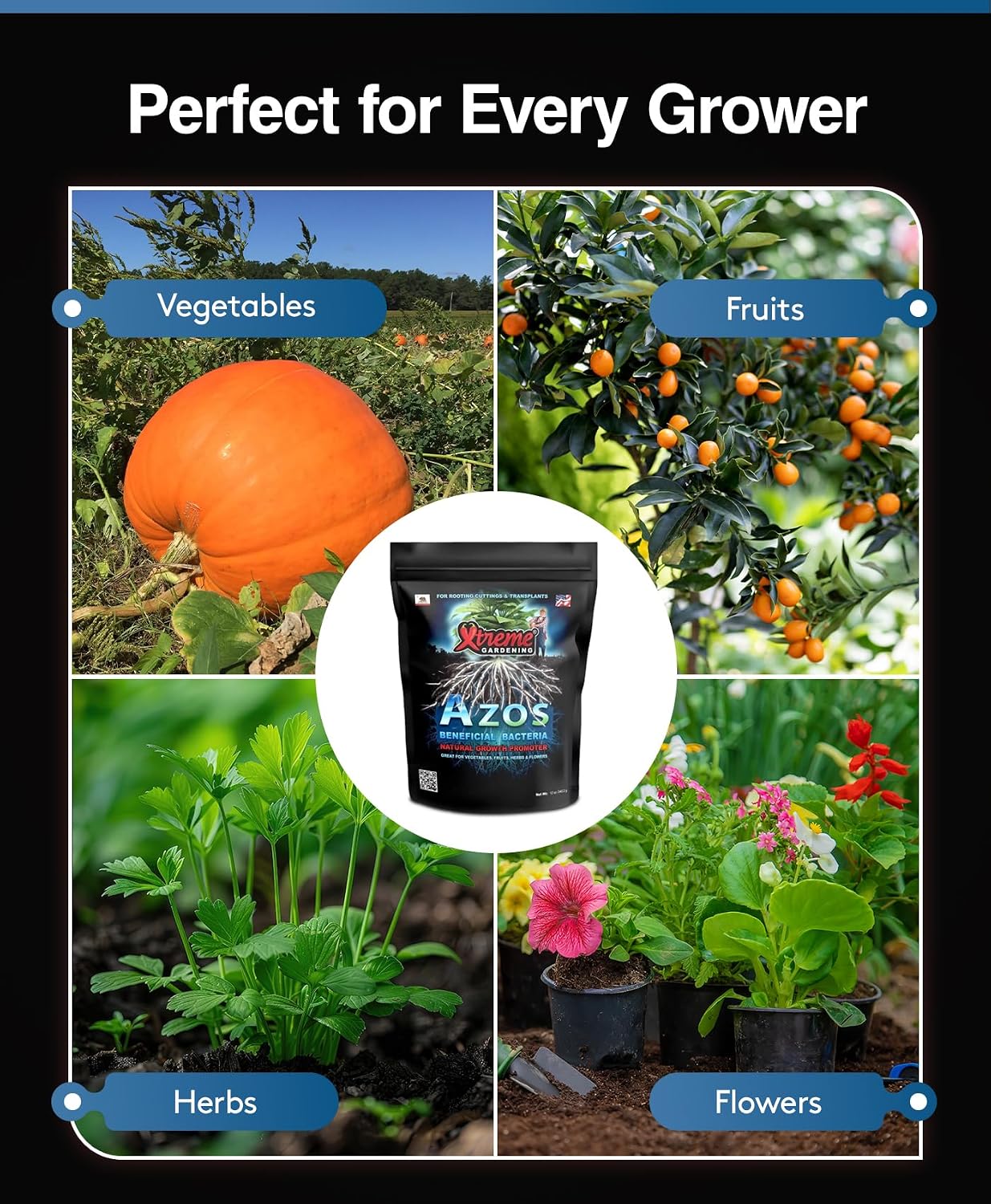 Xtreme Gardening AZOS – Beneficial Nitrogen-Fixing Bacteria for Plants & Trees – Natural Root Stimulator & Growth Promoter for Cloning, Seedlings & Transplants (12 oz)
