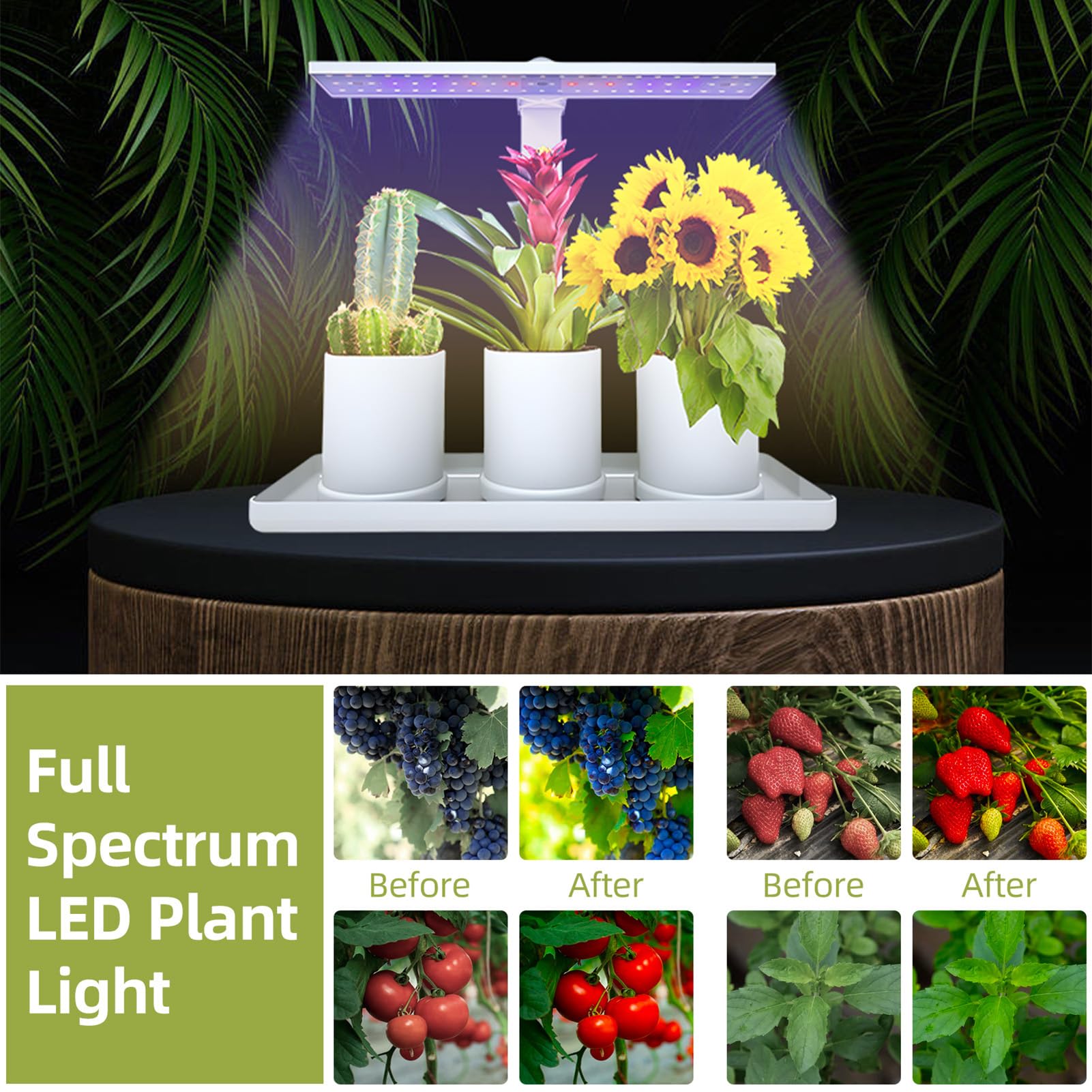 Kavolet Luci di crescita da 10 W per piante da interno, luce LED a spettro completo, con timer automatico da 3/9/12 ore, regolabile in altezza, 4 luminosità dimmerabile, luce da tavolo