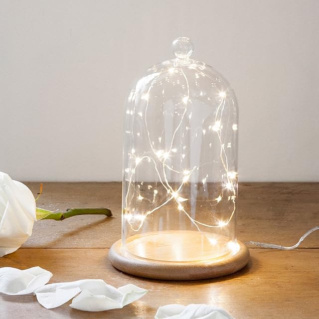 Lights4fun Regular Glass Bell Jar with 20 Warm White Micro LED Fairy Lights