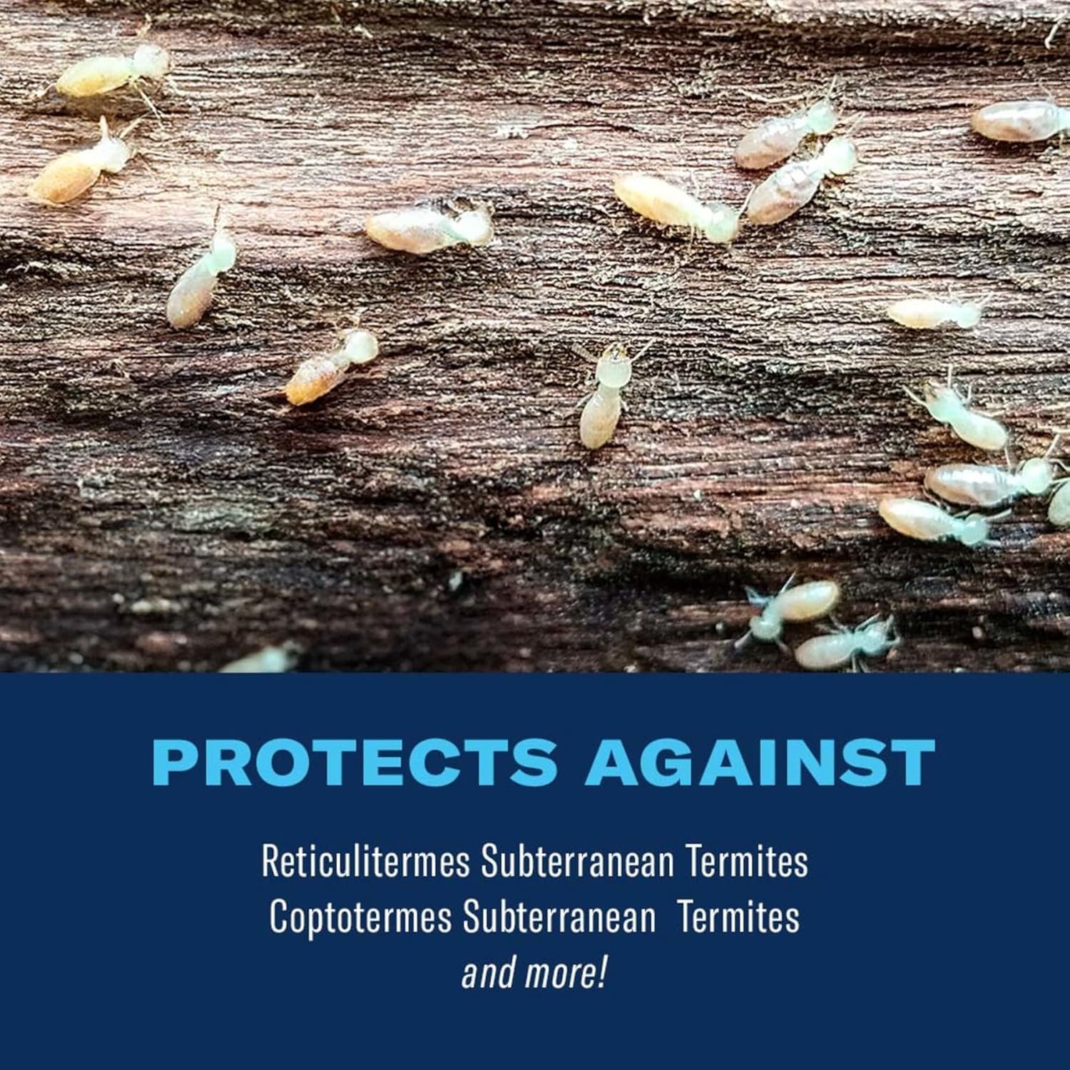 BioAdvanced Termite Killer Granules - 9 lb Bottle | Covers 200 Linear Feet product thumbnail 3