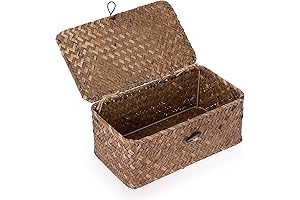 Sumnacon Small Wicker Basket with Lid for Storage and Organization