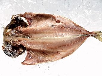 脂がしたたる肉厚とろあじ開き特大 7枚 橘水産 Mptk4quys7 Wrapco Ca 脂がしたたる肉厚とろあじ開き特大 7枚 橘水産 Mptk4quys7 Wrapco Ca