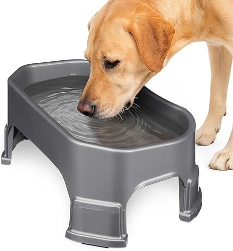 Neater Pet Brands Cuenco de agua grande para perros, cuenco elevado para agua para perros al aire libre (capacidad XL de 1.25 galones), plato de