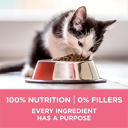 Miniatura 7 de Purina ONE Alimento seco natural para gatitos con alto contenido en proteínas, fórmula para gatitos +Plus saludable - Bolsa de 16 libras