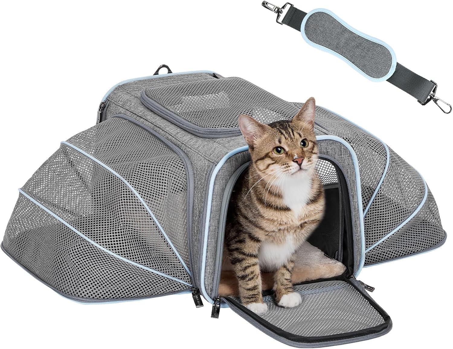 Petsfit Airline-Approved Expandable Cat & Dog Carrier – Portable & Washable Petsfit Airline-Approved Expandable Cat & Dog Carrier – Portable & Washable