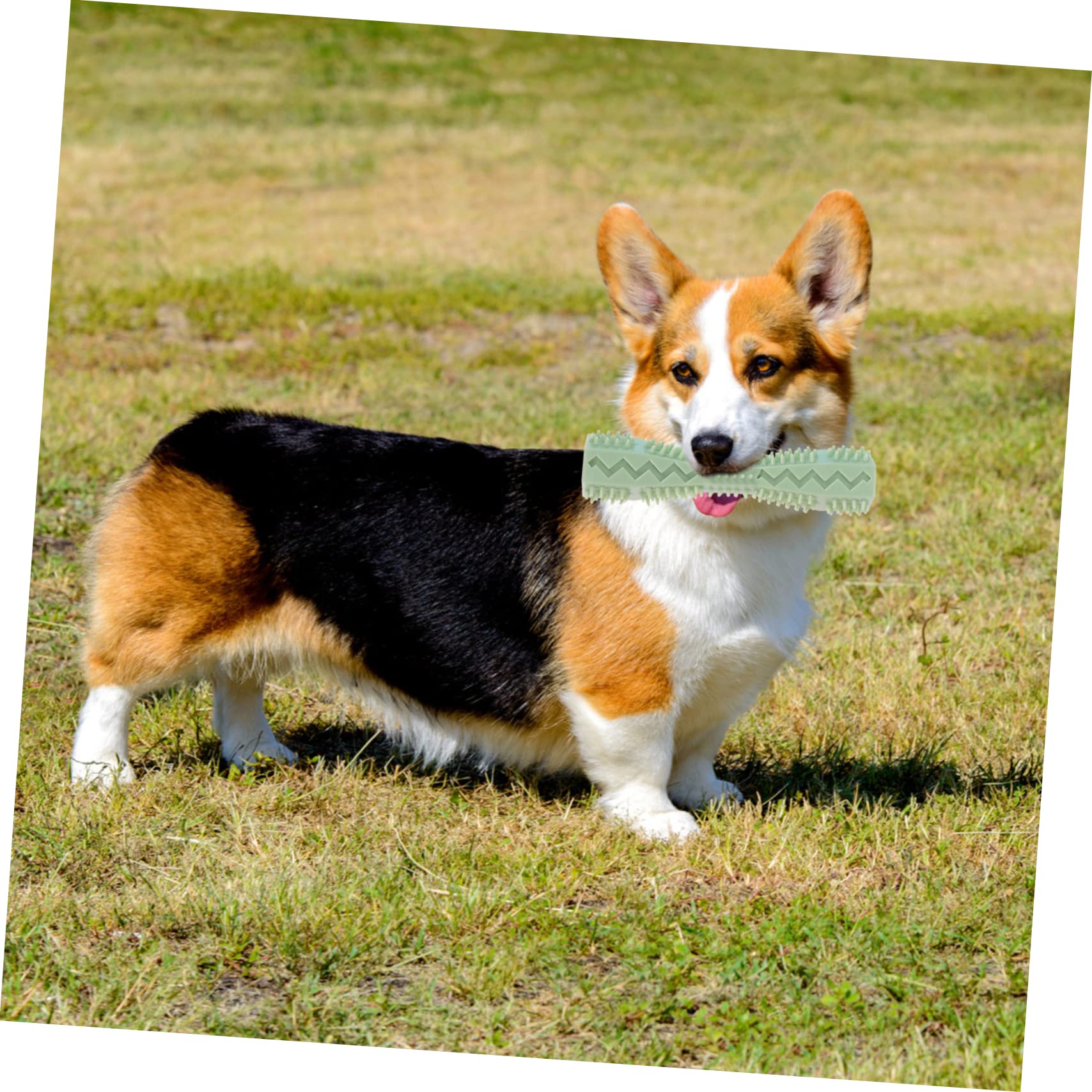 BESPORTBLE 9pezzi Giocattoli Masticabili Per Cani Giocattoli Per Cuccioli Resistente Molar Plaything Per Pet e Perfetti Per Allenare Denti e La Noia