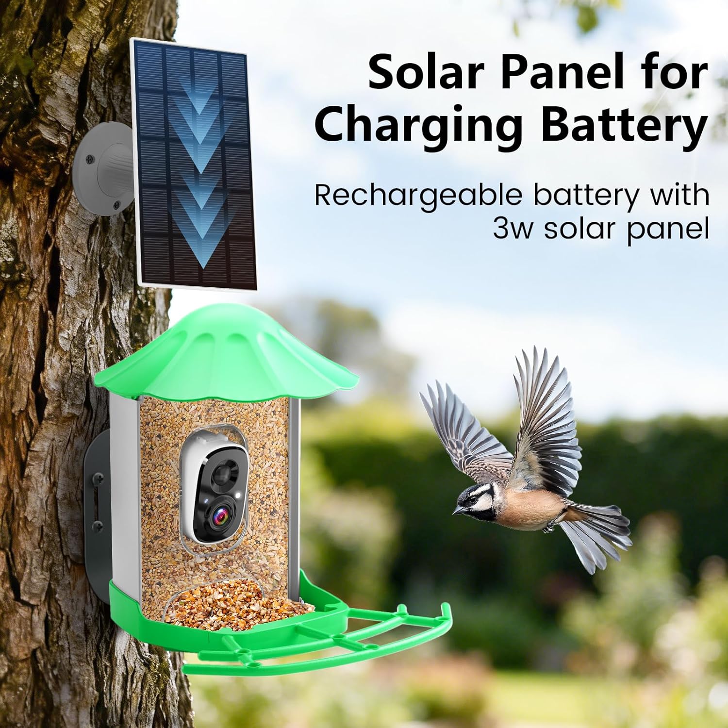 2.5K HD Smart Bird Feeder with Camera for Outdoors Solar Powered, Includes 32GB SD Card, AI Bird Species Identification Video, Instant Arrival Alerts,Wireless 2.4Ghz WiFi,Ideal Gift (Light Green)