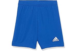 adidas Boys Blue Training Entrada 22 Shorts