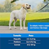 Ver la foto 6