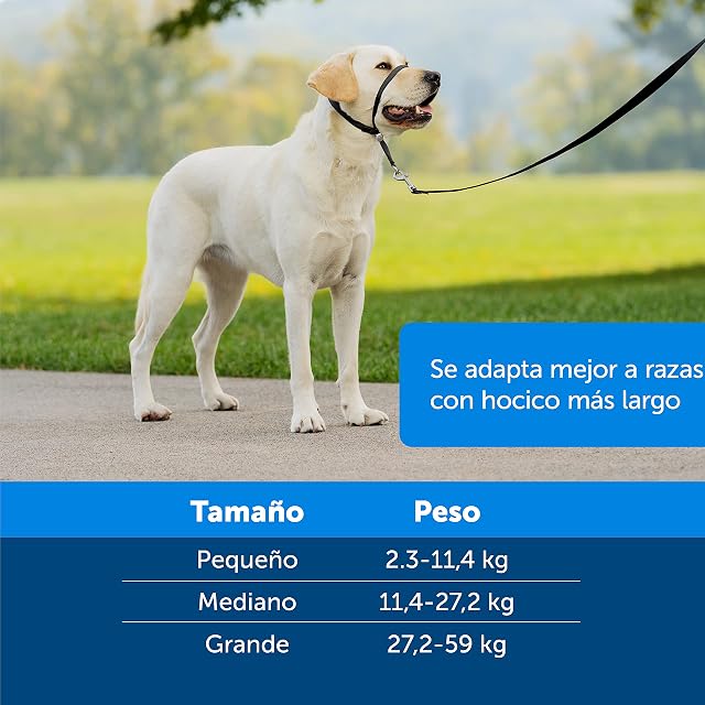 Foto 6 de 7 de PetSafe Easy Walk - Bozal para Perros, Collar de Cabeza Antitirones para Perros, Ajustable, Acolchado…