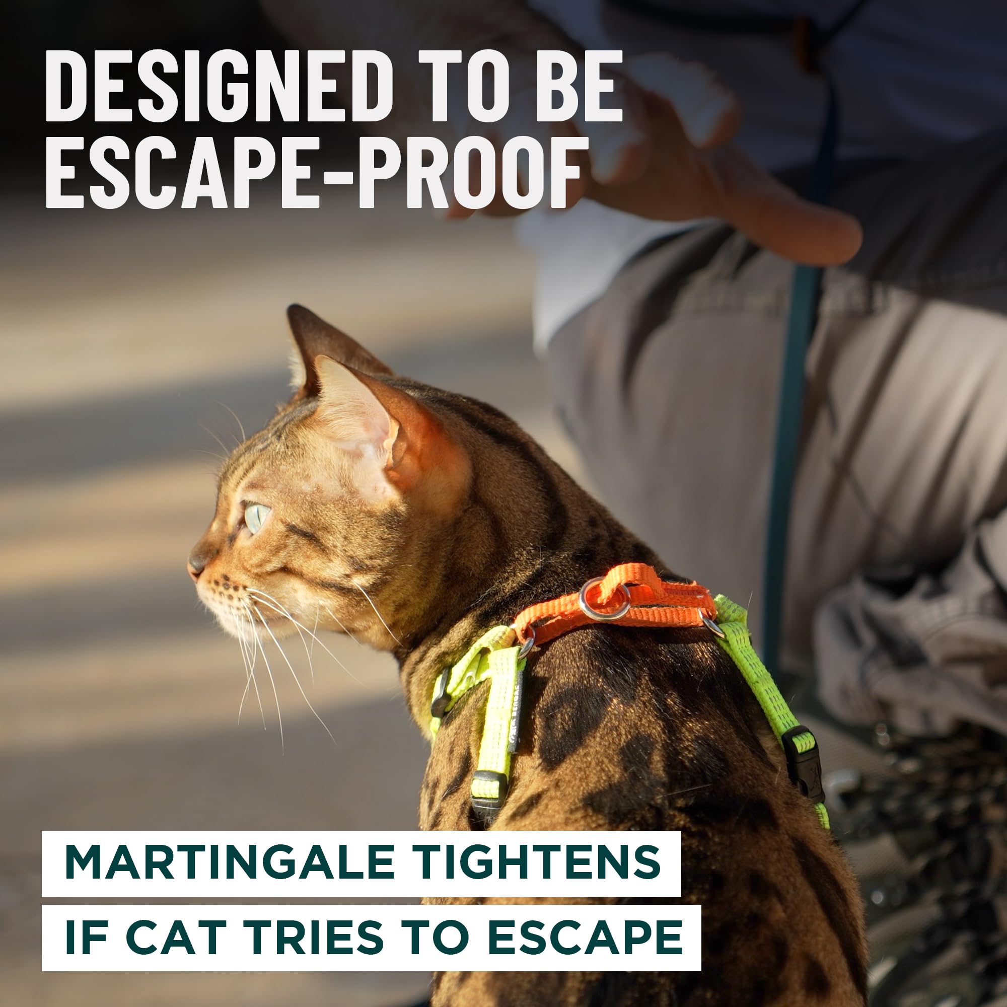 OutdoorBengal Always On™ Martingale Katzengeschirr und Leine, ausbruchsicheres Set – Weste für ganztägige Kätzchen-Abenteuer – erwachsene Katzen – Katzenleine und Geschirr ausbruchsicher + Leine