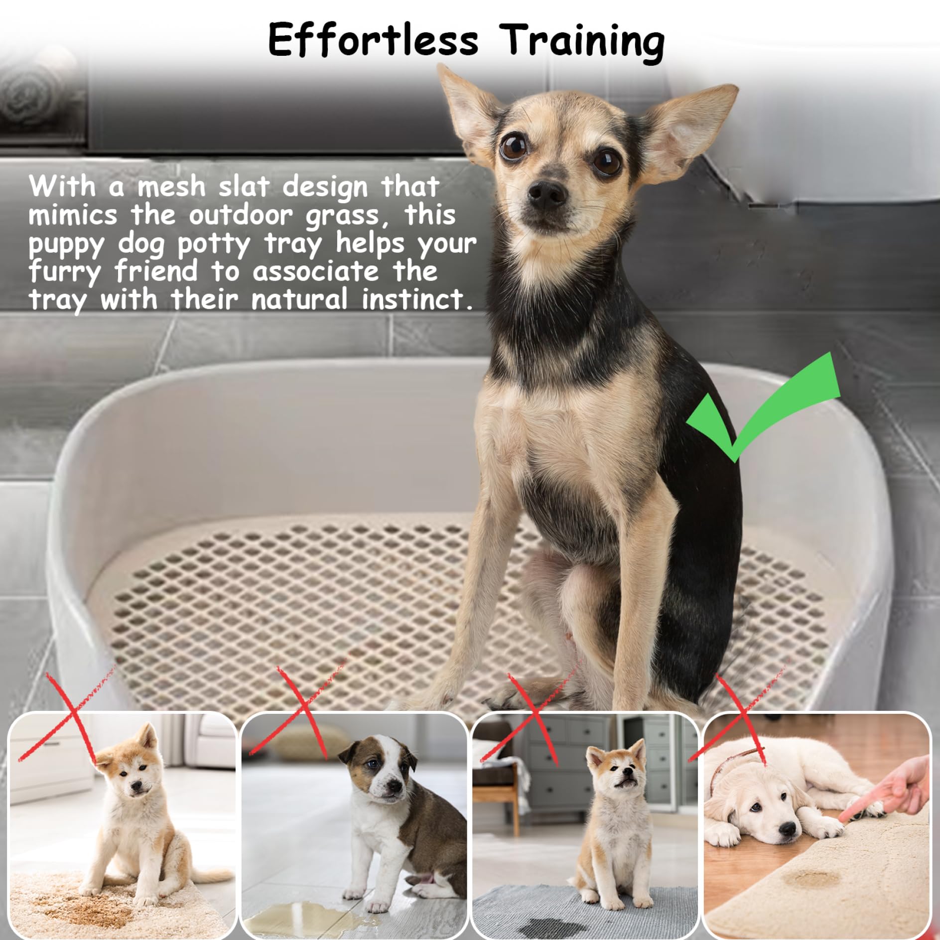 Gamelle de toilette pour chien - 15,8 x 11,8 x 4,3 cm - Dans toilettes amovibles pour chien en plastique - Entraîneur pour petits animaux de compagnie - Lavable pour petits chiens et chiots (bla