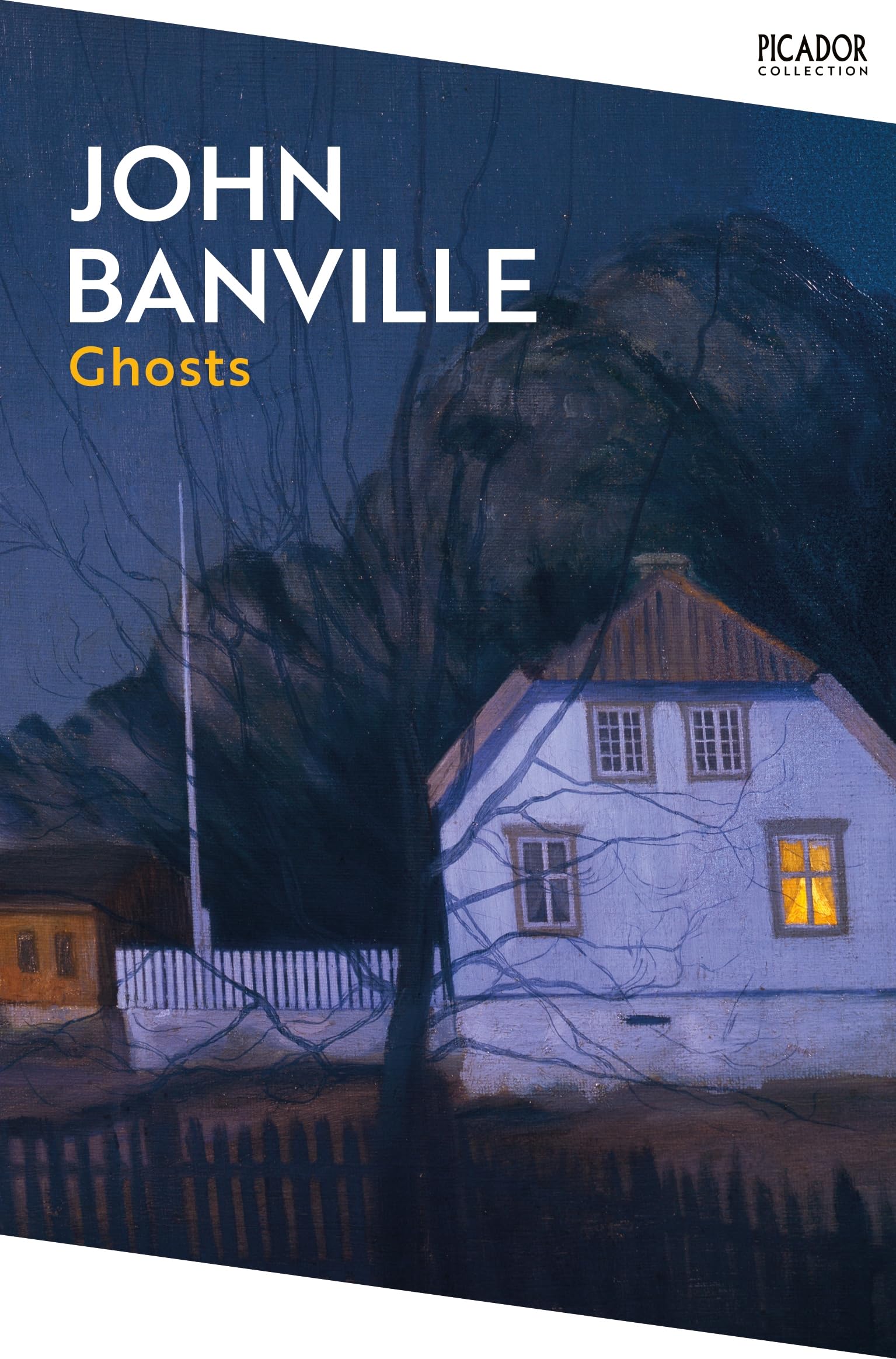 Ghosts by John Banville PAPERBACK 9781035076833