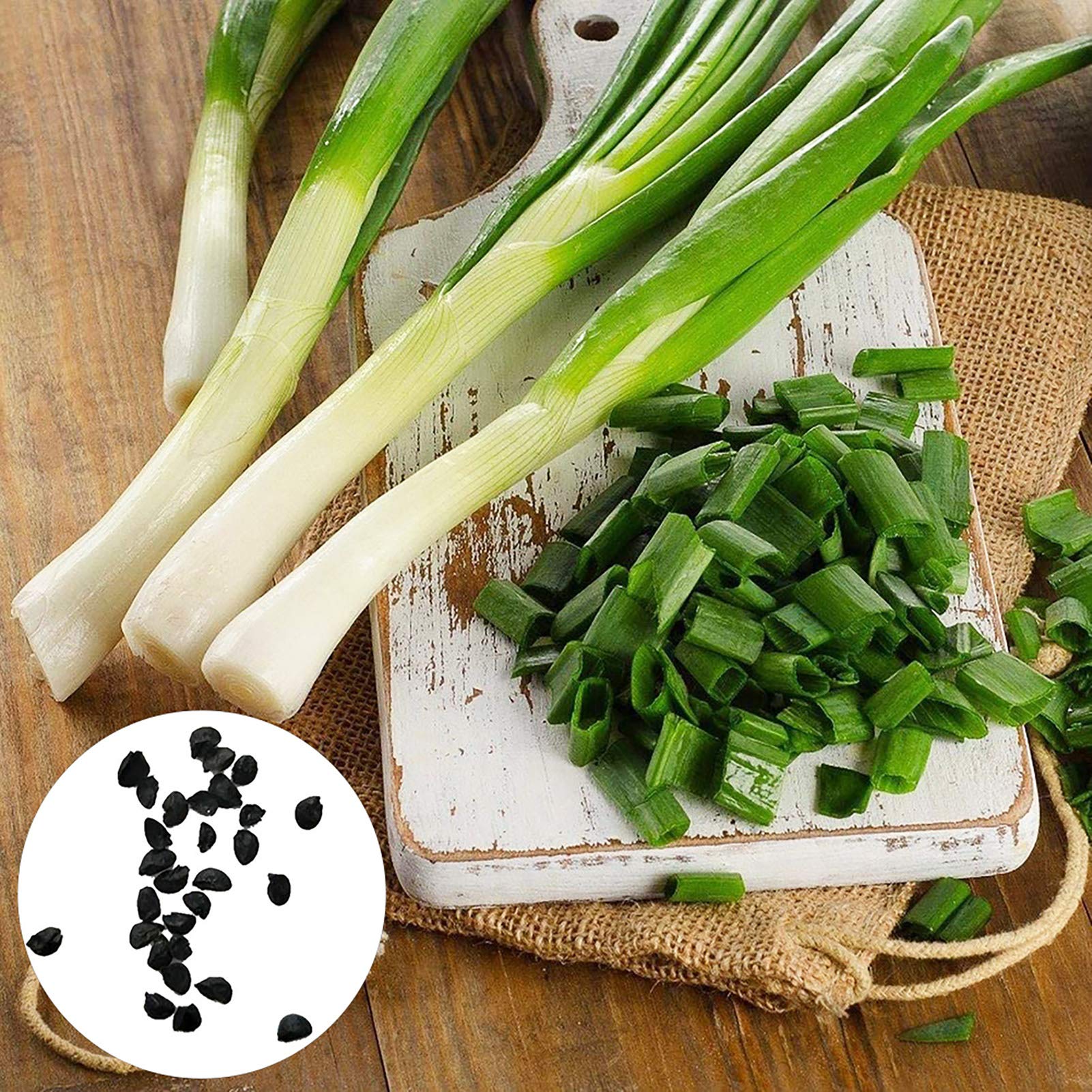 VibeX Green Onion Seeds-500 Seeds (B0B9Y1VNYV) Amazon Price History, Amazon Price Tracker