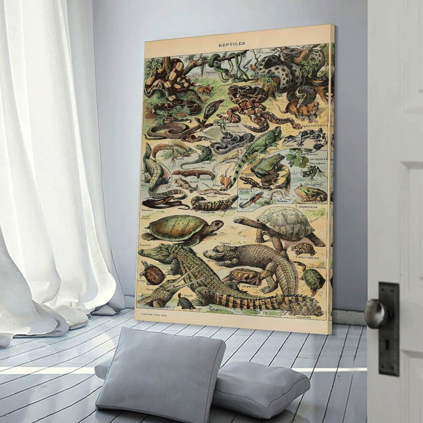 Junmoney Adolphe Millot Reptiles Wall Picture Print 08x12inch(20x30cm), for Entrance Spaces, Stair Walls Or Halls, Decorative Canvas Styling for Entry Areas