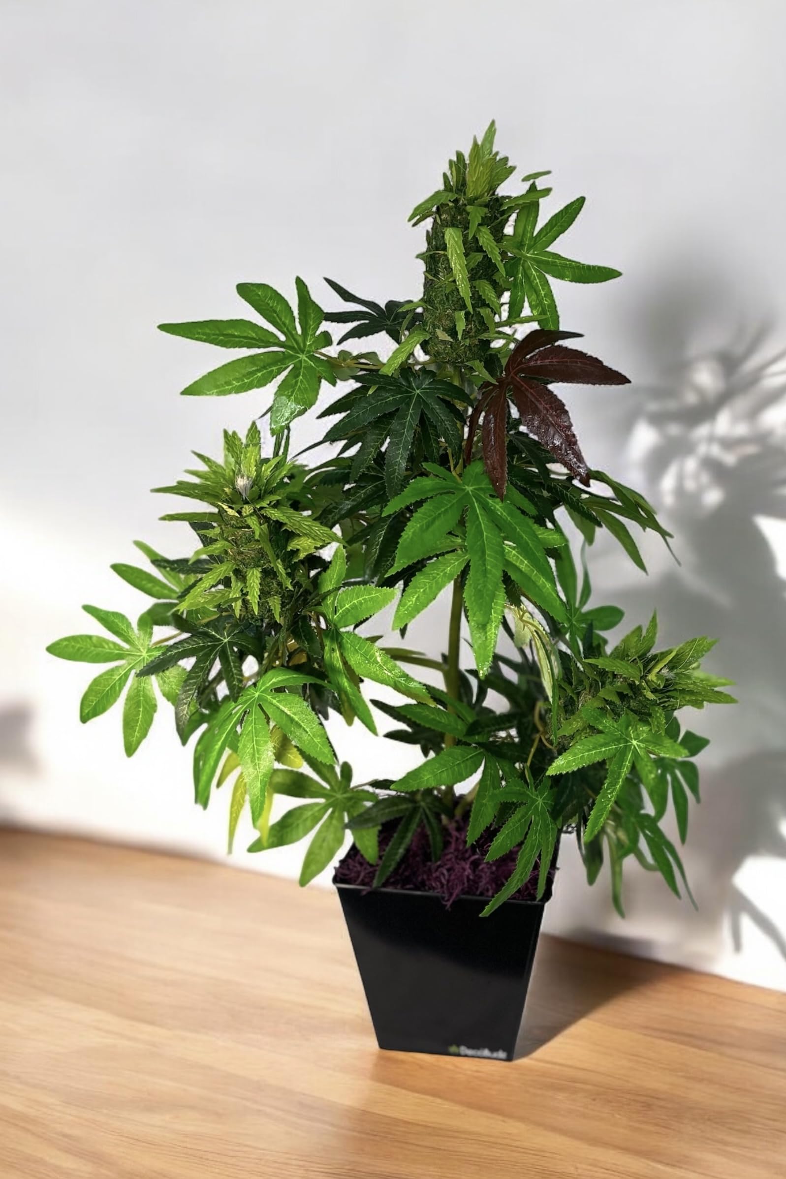 Amazon｜人工大麻植物 – 2フィートの人工雑草植物 3つの大きなつぼみ