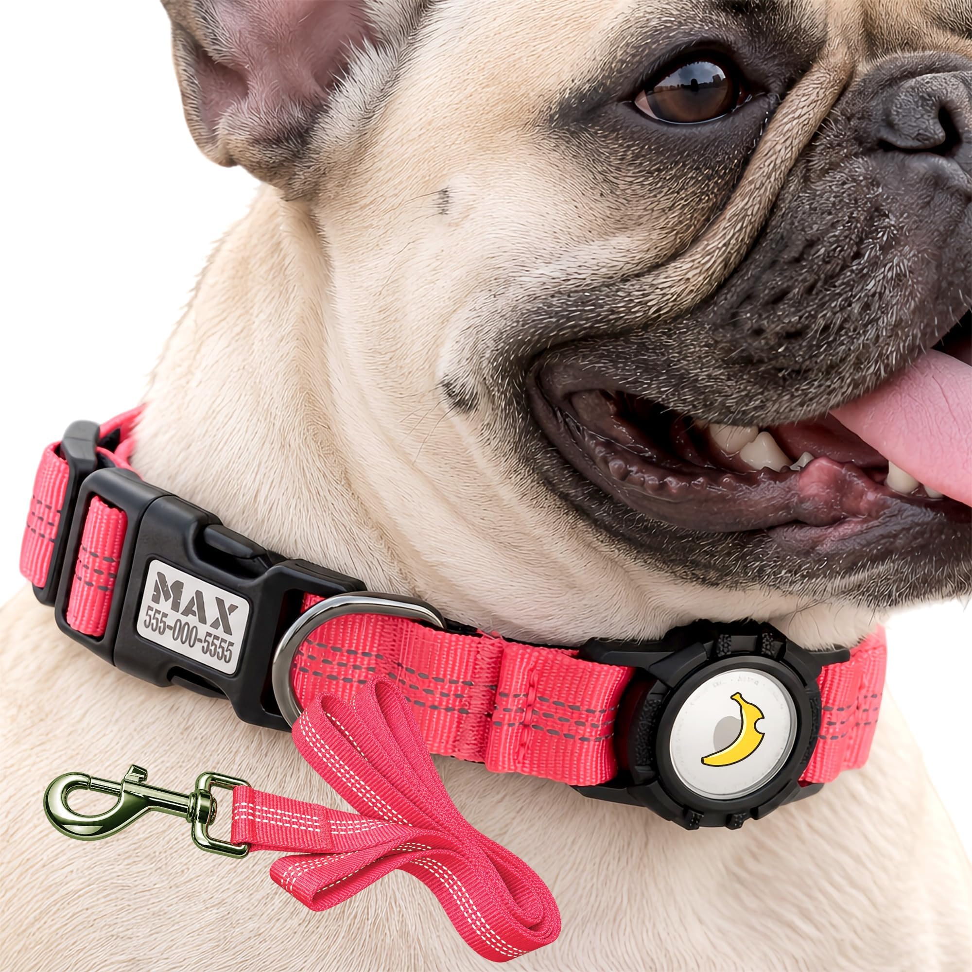 CEMULA Personalised Dog Collar & Lead Set Compatible with Apple AirTag