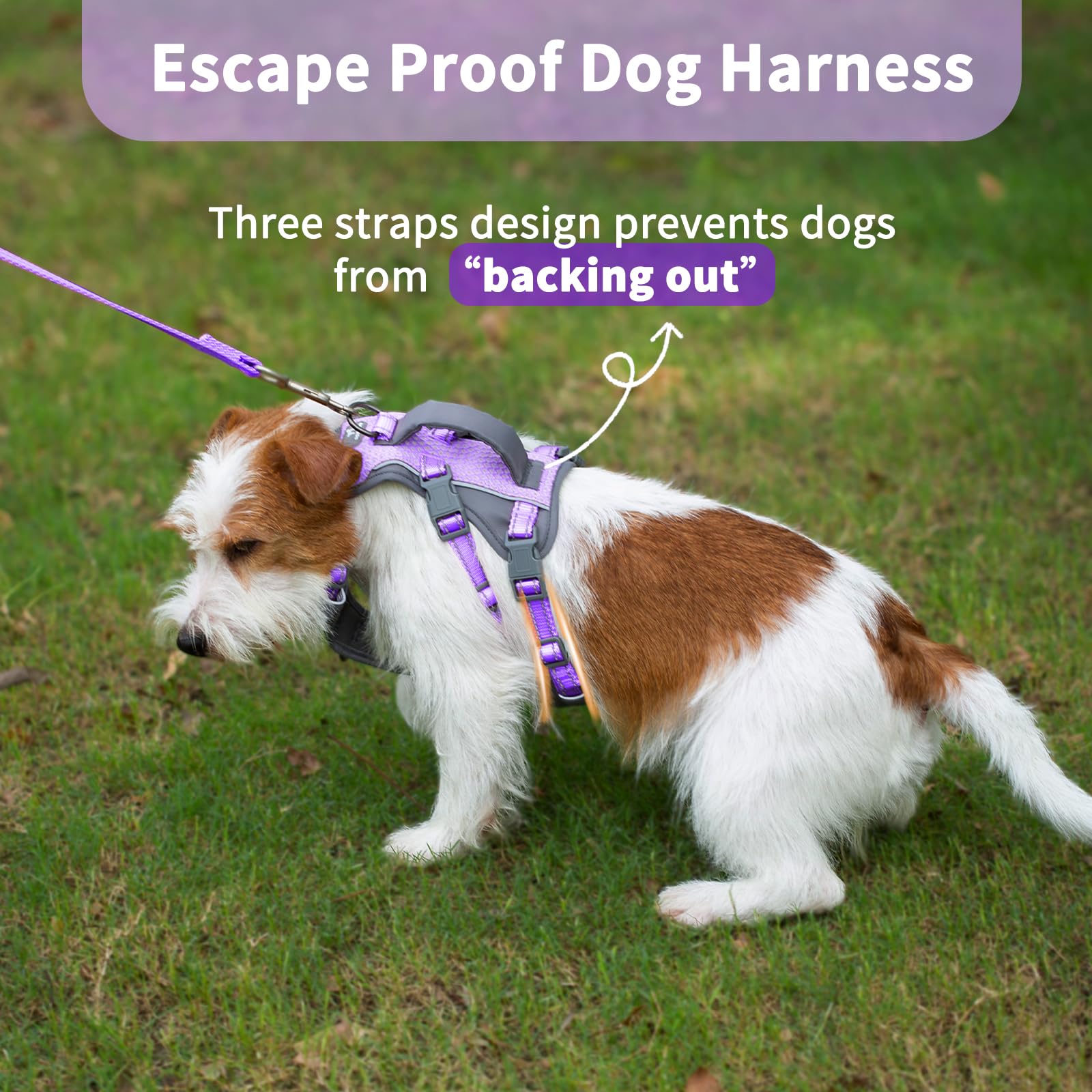 Huntboo Reflective Dog Harness with Handle, Escape Proof, No Slip,Breathable, Lightweight,Adjustable Lift Harness for Small,Medium,and Large Dogs Walking, Training,and Running Gear(Lavender Purple,XS) - image 2