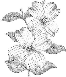 Cam & Chloe Mounted Stamp 4"X3.5", Dogwood Flowers