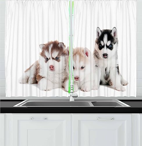 Ambesonne Alaskan Malamute Kitchen Curtains, 3 Little Siberian Puppies Blue Eyes Friends Pedigree Image, Window Drapes 2 Panel Set for Kitchen Cafe