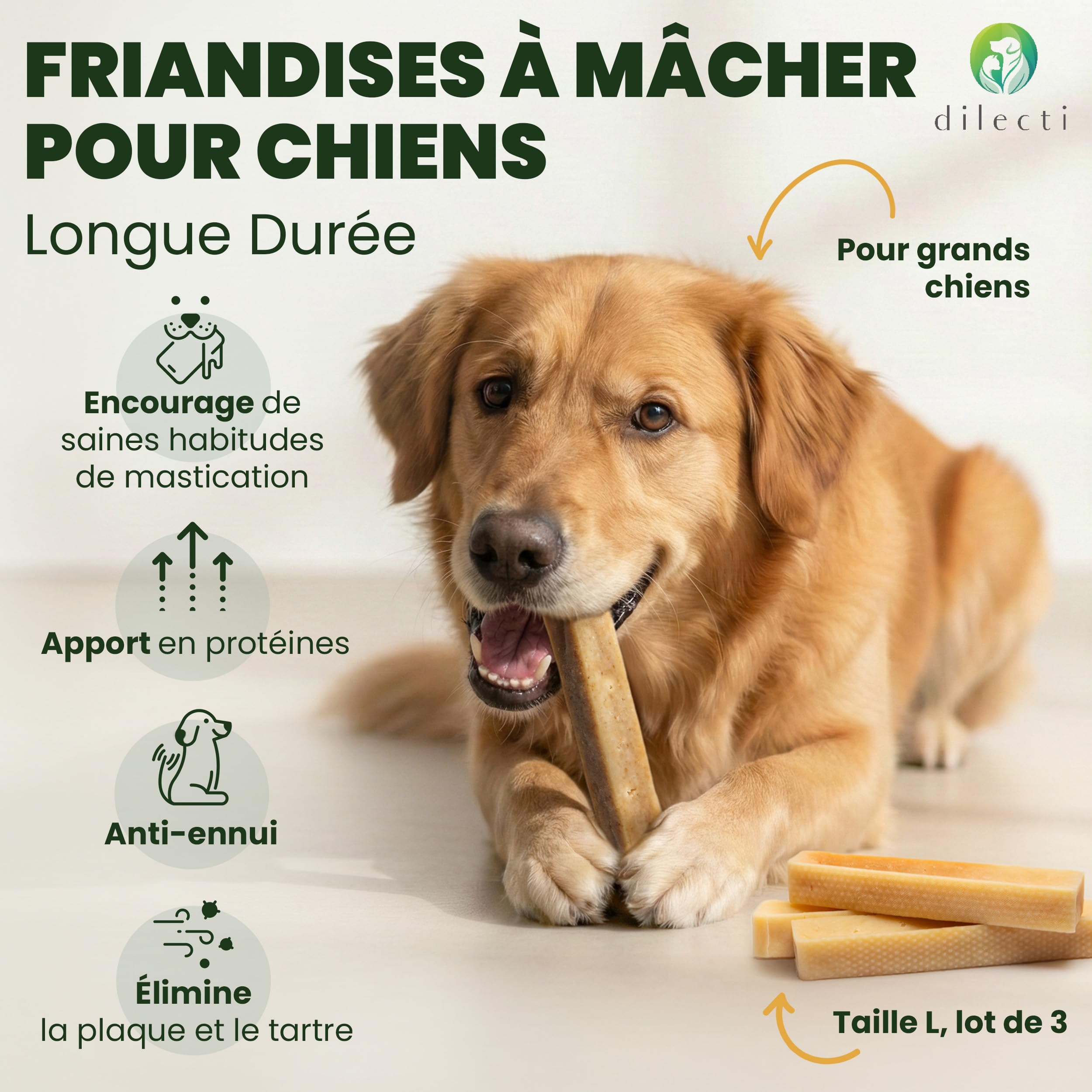 Os à mâcher au fromage naturel - Friandises à mâcher longue durée pour grands chiens, friandises pour chiens pour les soins dentaires, jouets à mâcher en fromage dur - Taille L, paquet de 3