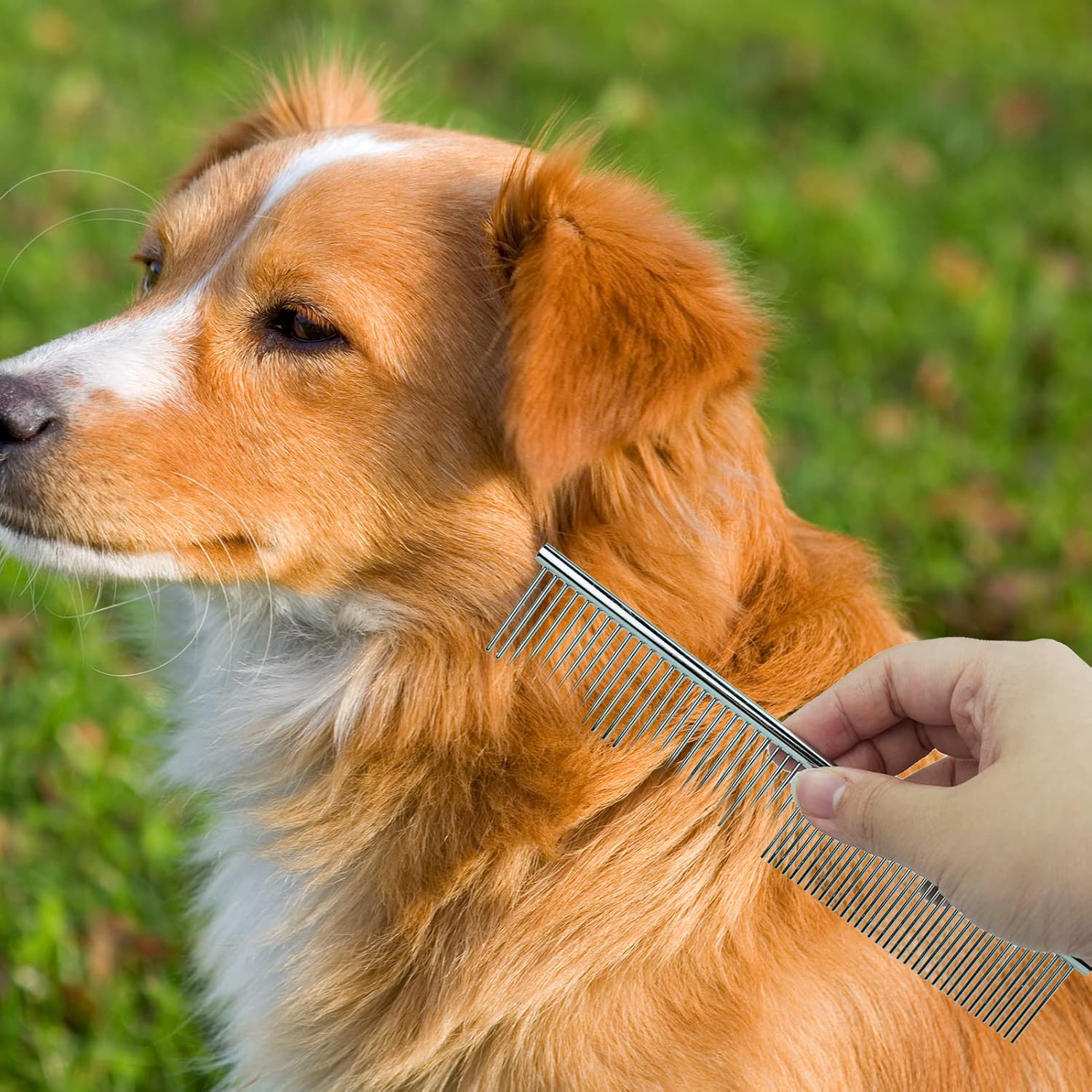 81oa2qTX OL. AC SL1500