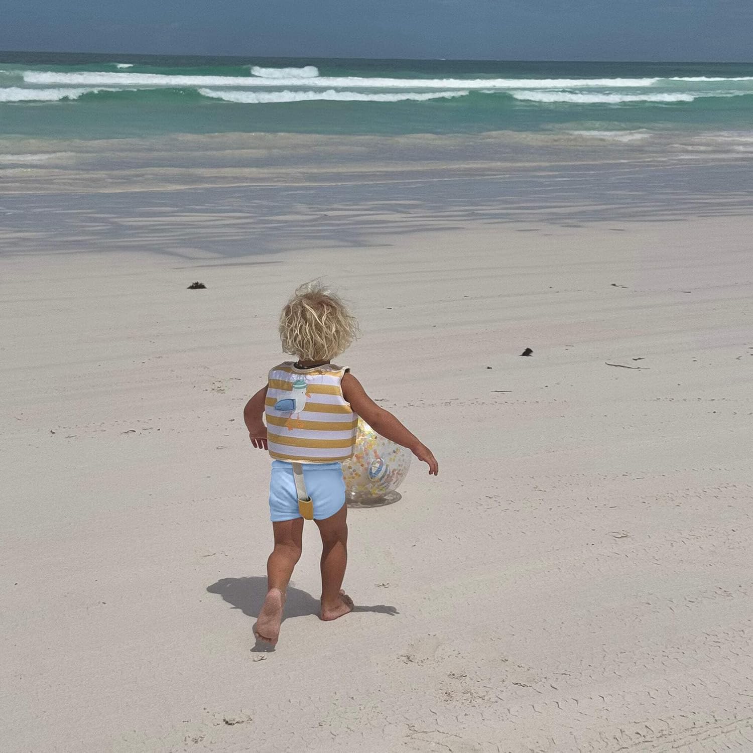 SUNNYLiFE Swim Vest - Constructed with Neoprene Plus a Secure Front Zip and Develop Water Confidence. | Toddler Swim Vest (Sammy The Seagull | Mustard Stripe, 2-3)