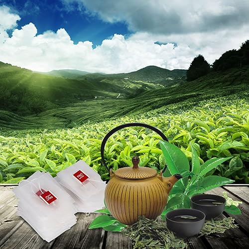 Miniatura 7 de 100 unids vacía malla té infusor bolsa filtro filtro filtro bolsas con cadena hogar