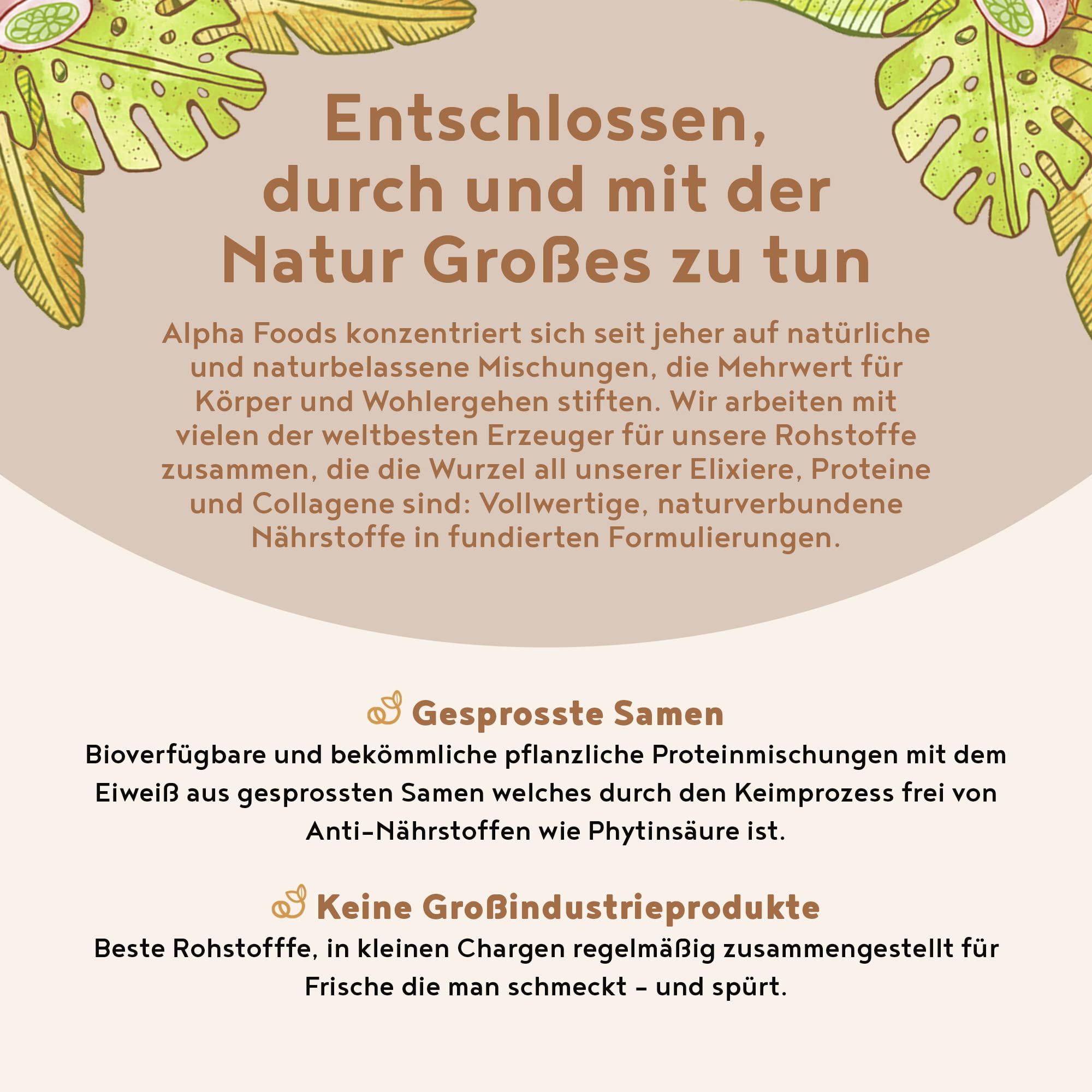 Veganes Proteinpulver | Schokolade | 30g Probierpäckchen Eiweißpulver | Produktprobe | Premiumqualität Protein | Made in Germany | Alpha Foods