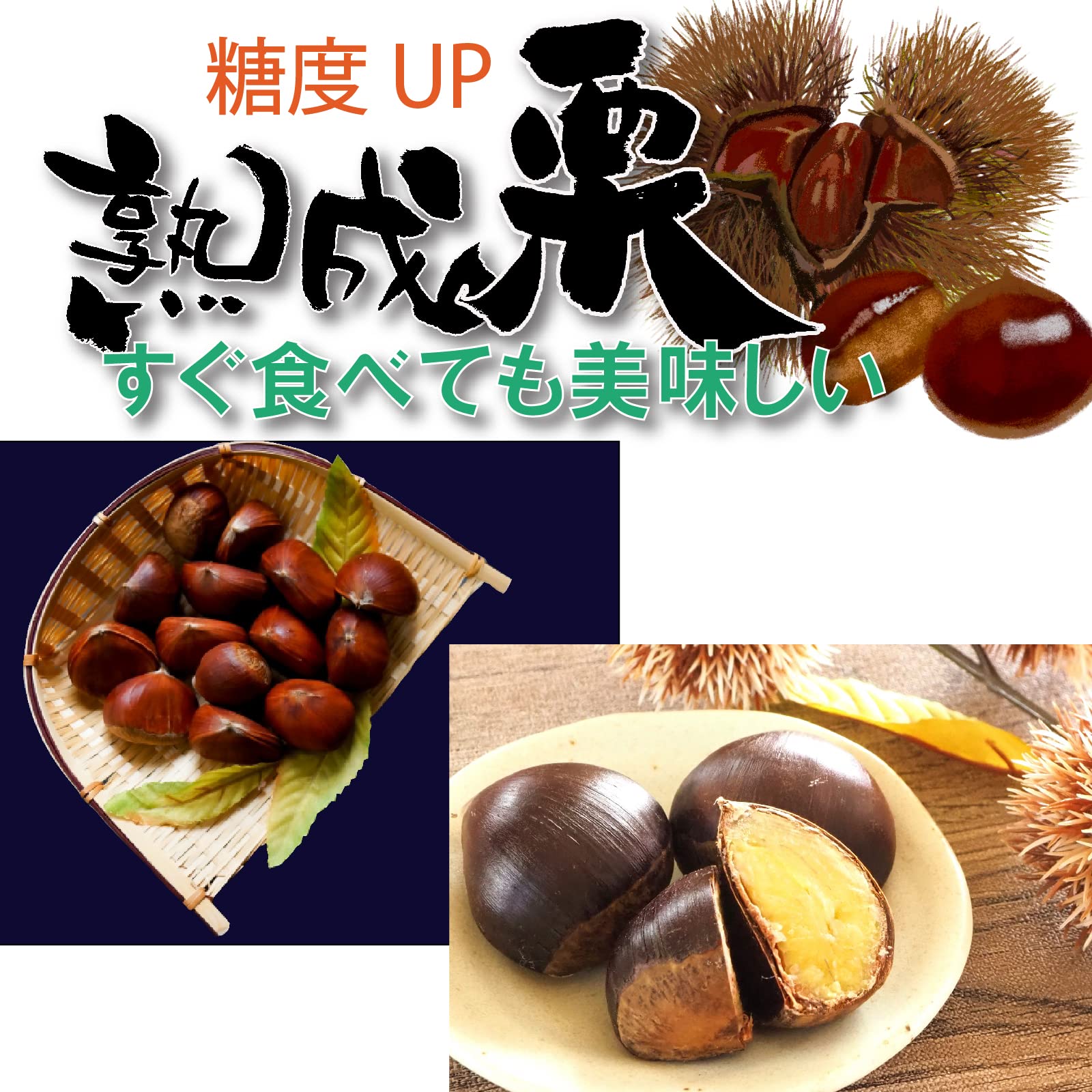 Amazon.co.jp: 【無農薬栽培だから風味芳醇】新潟ブランド 大栗（生