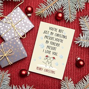 Funny Christmas Cards Partner, Hilarious Christmas Card Husband Wife, Humor Christmas Card Gift Boyfriend Girlfriend, Romantic Christmas Card Xmas Card Love Cards for Couples, Merry Christmas card