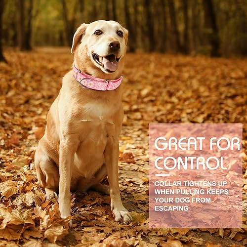 Miniatura 2 de Collar Martingale para perros medianos y grandes, collares para perras hembras con nailon suave ajustable y diseño floral especial de margarita