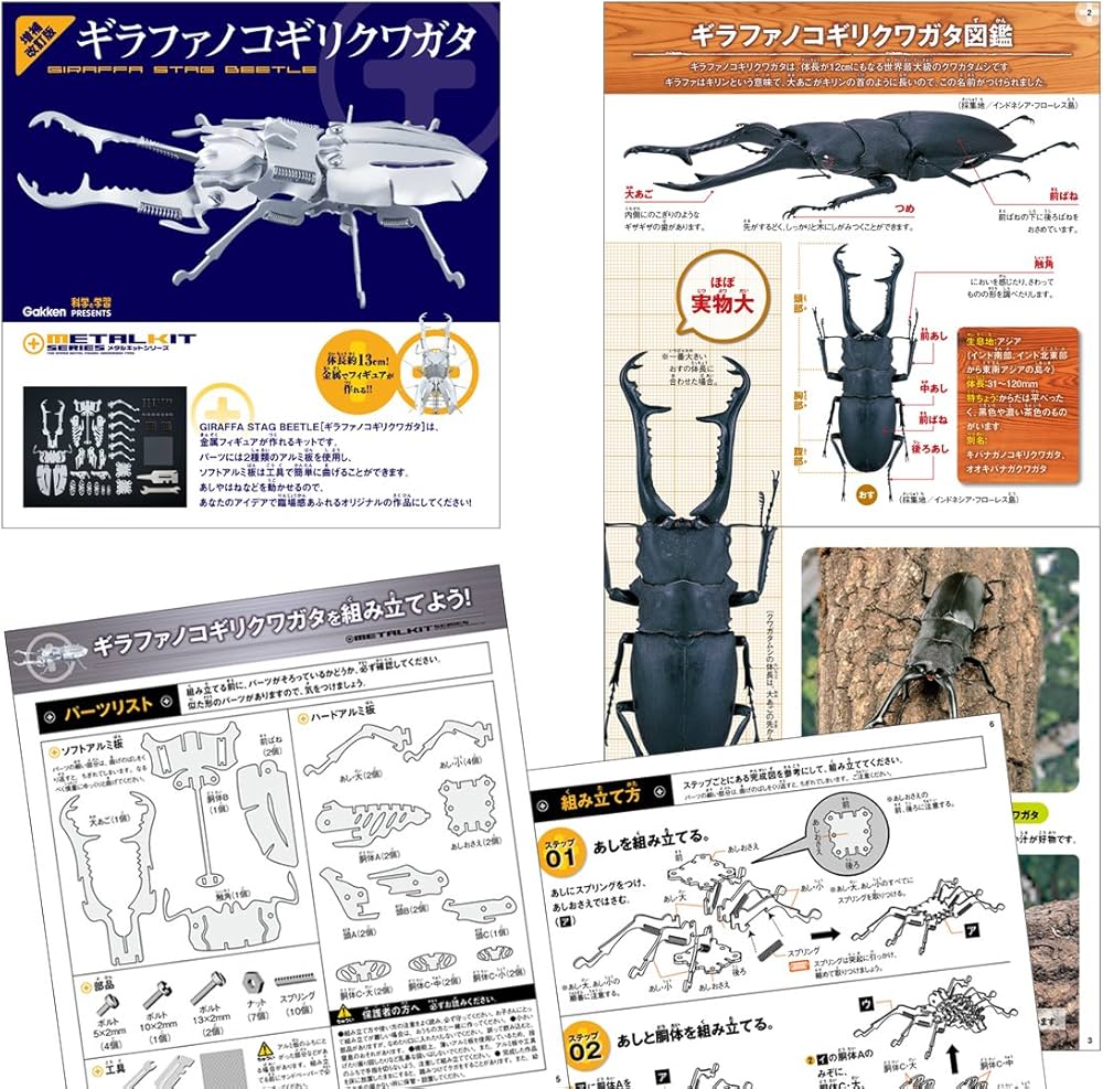 Amazon.co.jp: ギラファノコギリクワガタ 増補改訂版 (メタルキット