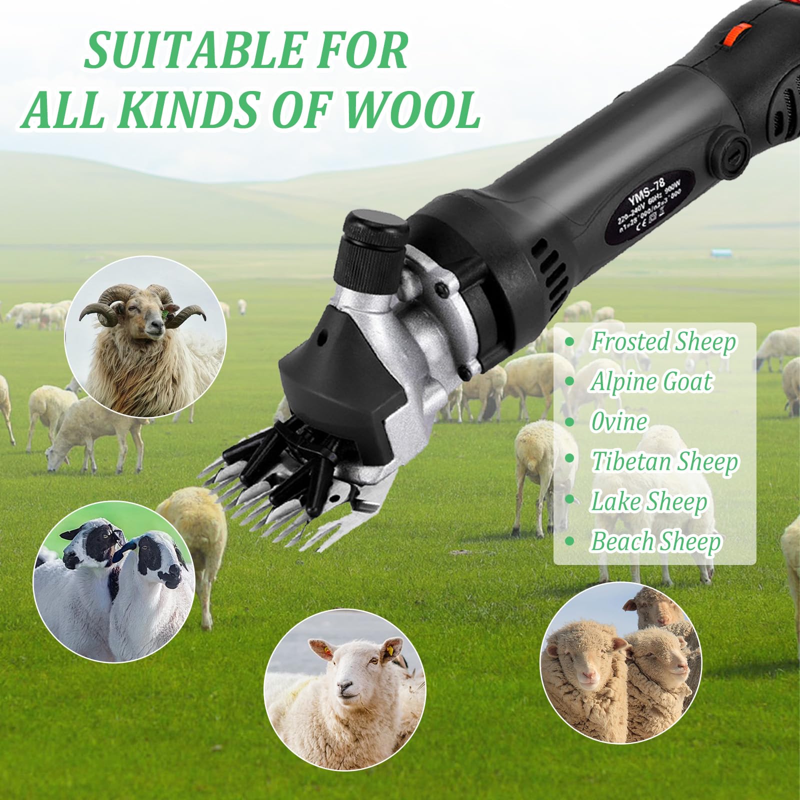 900W Tijeras de Oveja eléctricas, Esquiladora Eléctrica con 6 Velocidades Ajustables, Tijeras EléCtricas Profesionales Para Ovejas con Estuche De Transporte para Ovejas Ovino Alpacas Cabras
