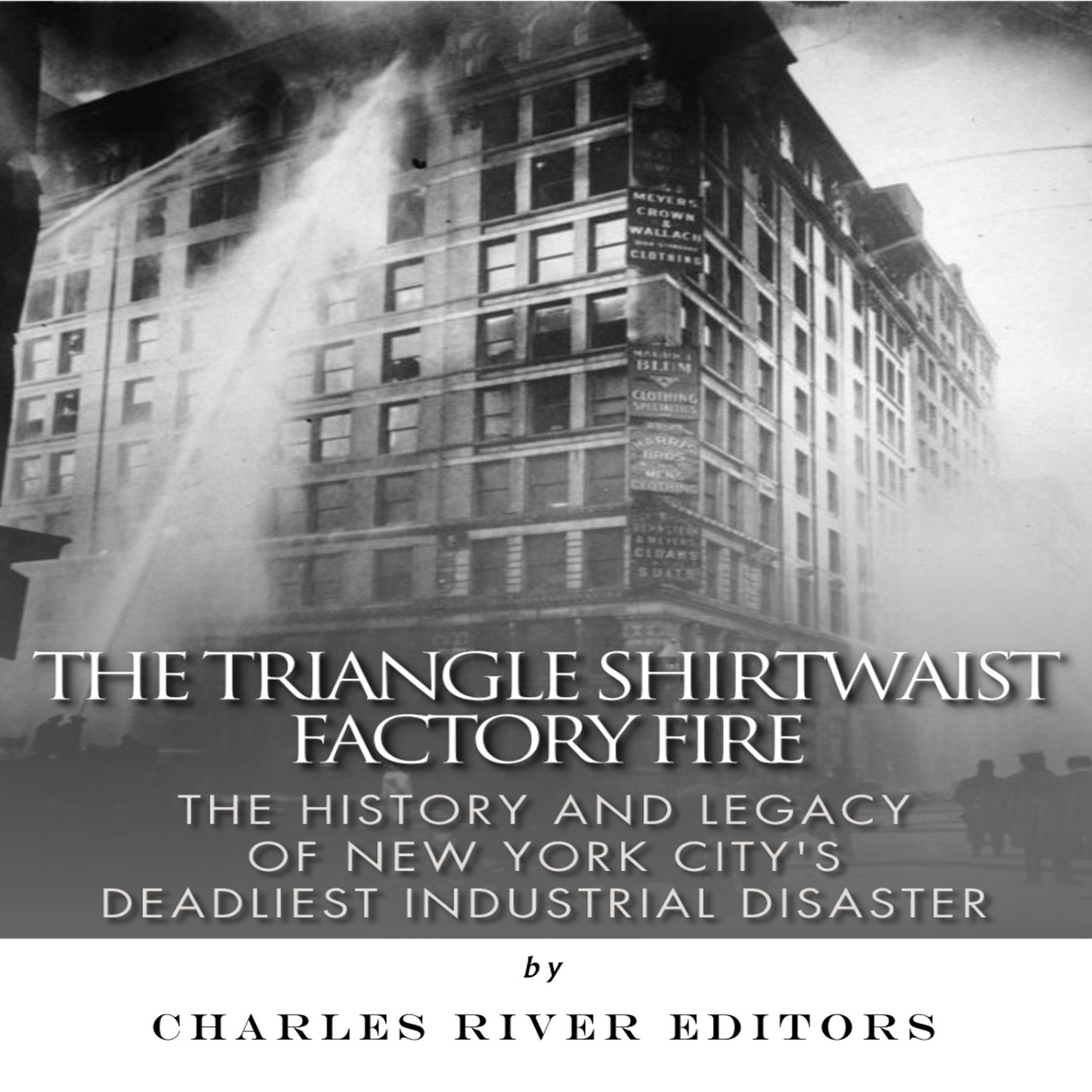 Cover art for The Triangle Shirtwaist Factory Fire
