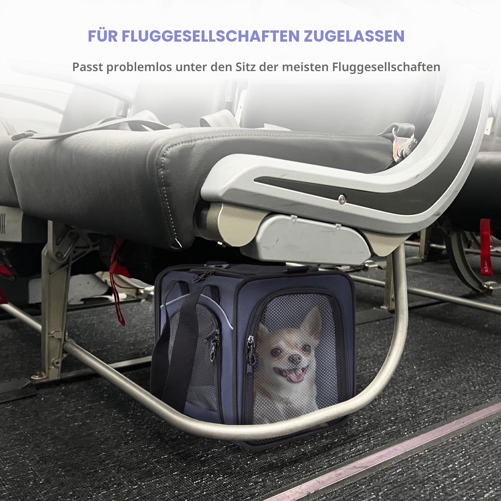 Petsfit Transporttasche Katze & Hundetasche Flugzeug | Flugtasche für Hunde & Transportbox Katze | Flugtaugliche Haustiertasche | Sicherer Transport in Auto, Flugzeug und Bahn, M/Blau
