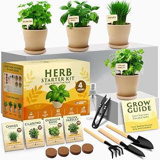 HOMEGROWN Indoor Herb Garden Kit: Grow 4 Heirloom Herbs on Kitchen Window – Easy Beginner DIY Gardening Gift for Plant Lovers