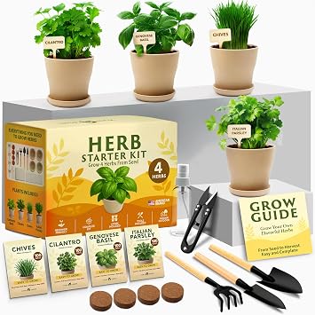 HOME GROWN 4 Herb Indoor Garden Kit, Christmas Gardening Gift for Adults