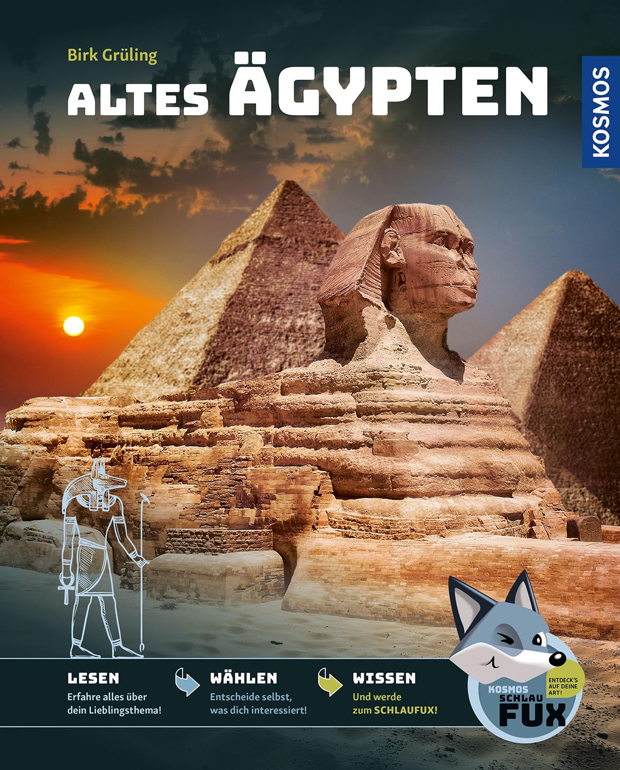 Kosmos SchlauFUX - Altes Ägypten: Kurze, spannende Texte wecken Neugier - selbst entscheiden wo es weitergeht, macht Spaß und stärkt Lesekompetenz und Textverständnis - ab 8 Jahre.