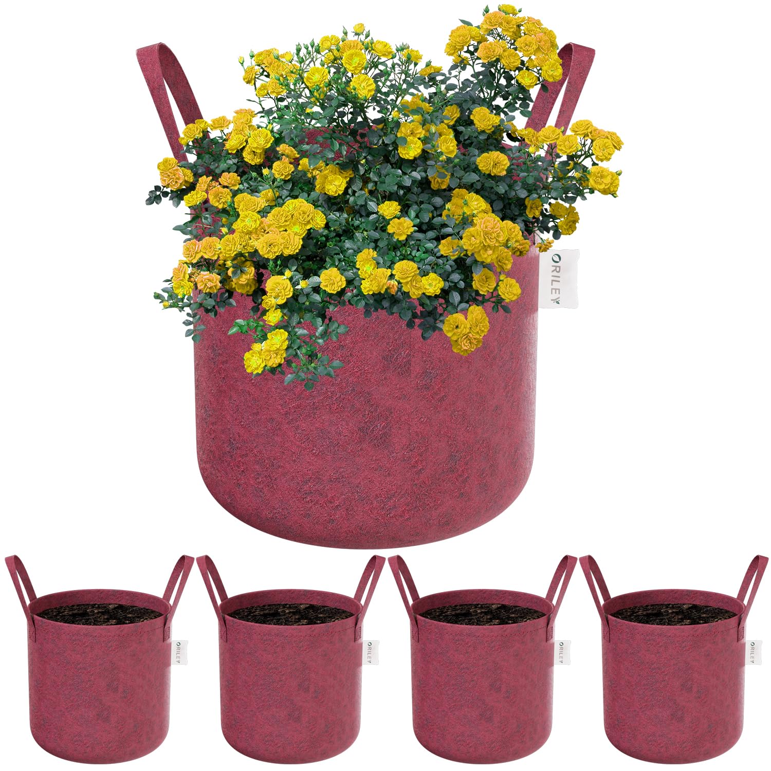 ORILEY Grow Bag Heavy Duty Geo Fabric Plant Pot with Sturdy Handles Lightweight Bags Ideal for Gardening Balcony Terrace (Red, Round, 300 GSM 10 x 10 inch Pack of 5) (B0BX34235S) Amazon Price History, Amazon Price Tracker