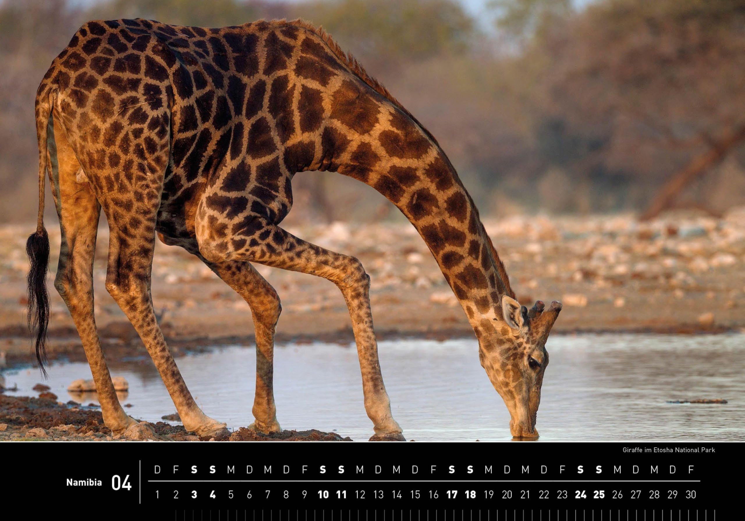 Namibia Premiumkalender 2027