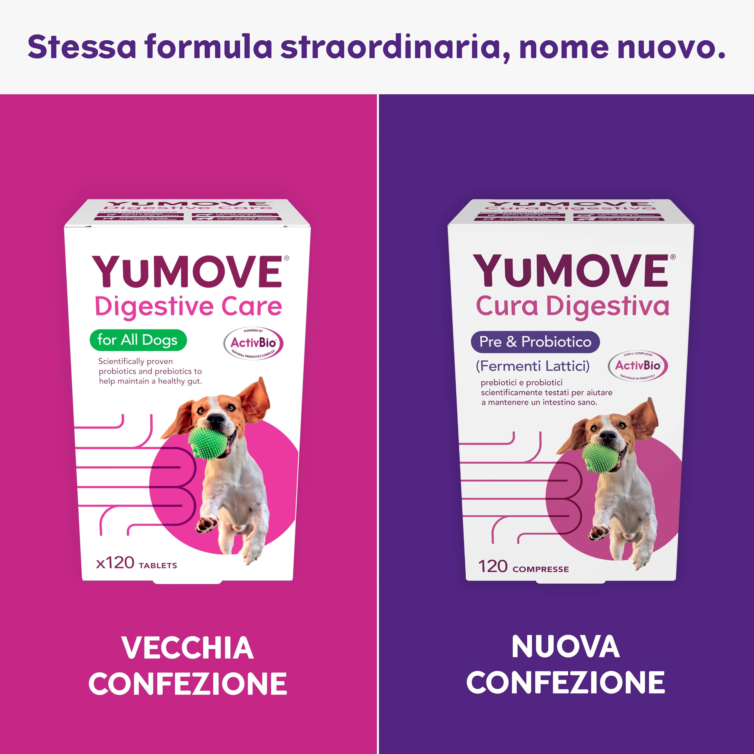 YuMOVE Fermenti Lattici Cane & Probiotici per Cani - 120 Compresse - 200 Mio CFU Enterococcus faecium per Compressa + ActivBio Prebiotici con Beta-Glucani - Probiotico Digestivo per Cani & Supporto