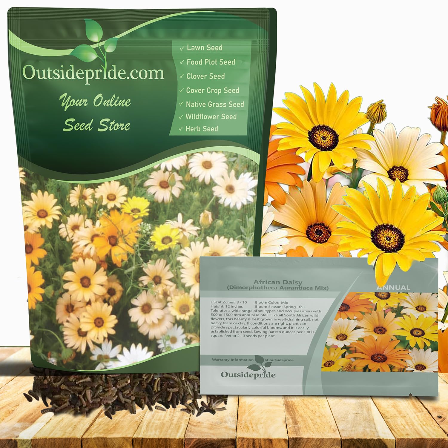 Outsidepride African Daisy Seed Mixture