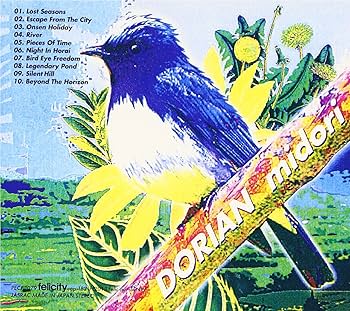 DORIAN midori Lpアナログレコード Amazon.co.jp: midori: ミュージック
